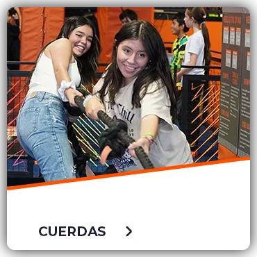 SZ CUERDAS